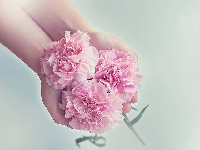 手に持ったピンクのお花