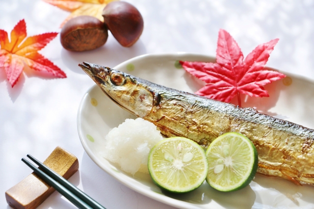 秋刀魚　さんま　サンマ　魚
