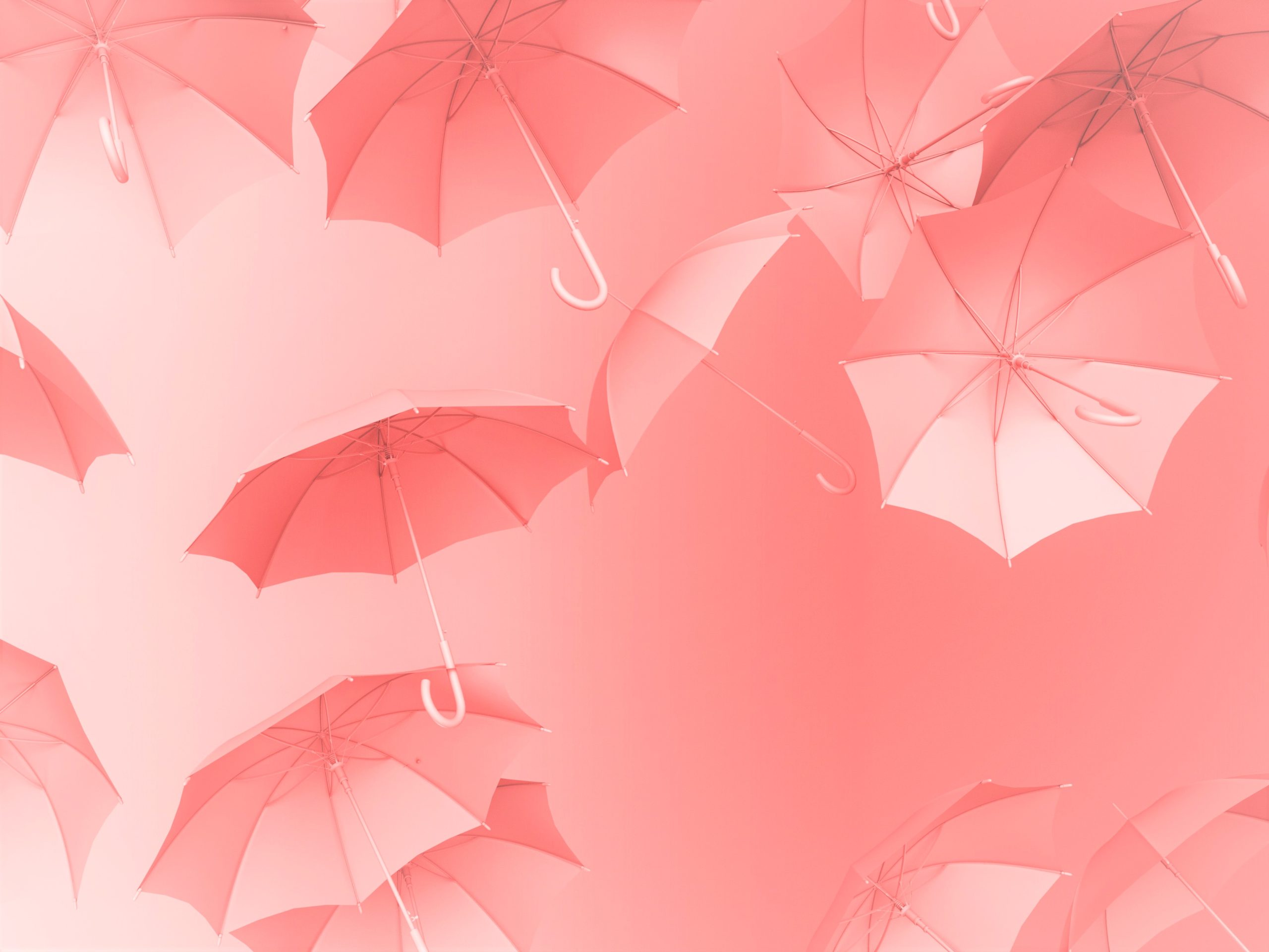 傘　ピンク