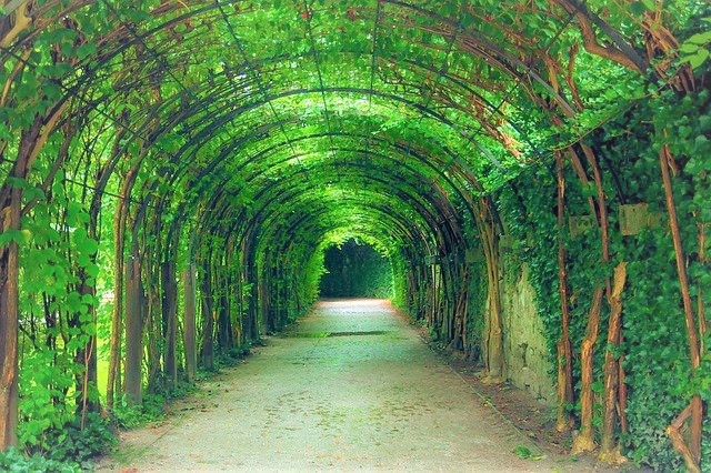 トンネル　緑