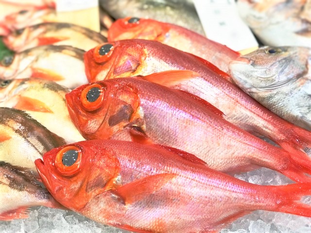 金目鯛　鯛　魚
