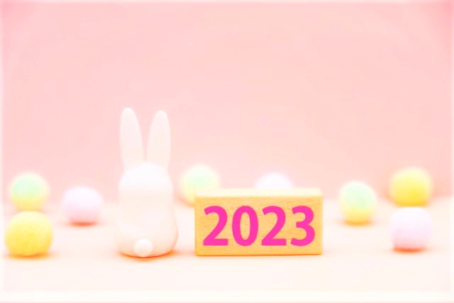 ２０２３　ウサギ　ピンク